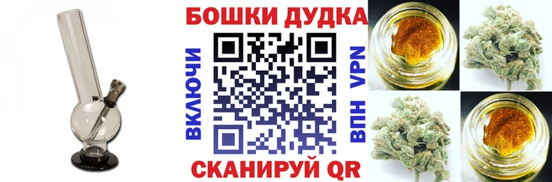 Бошки марихуана конопля  MEGA   Кисловодск 